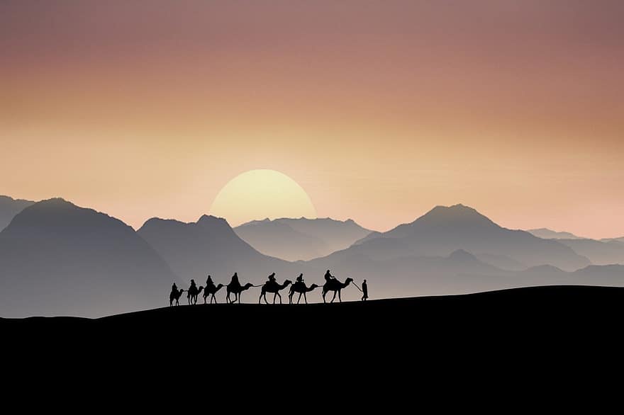 пейзаж, пустинен, камили, залез, слънце, мъгла, планини, силуети, силует, камила, подсветка