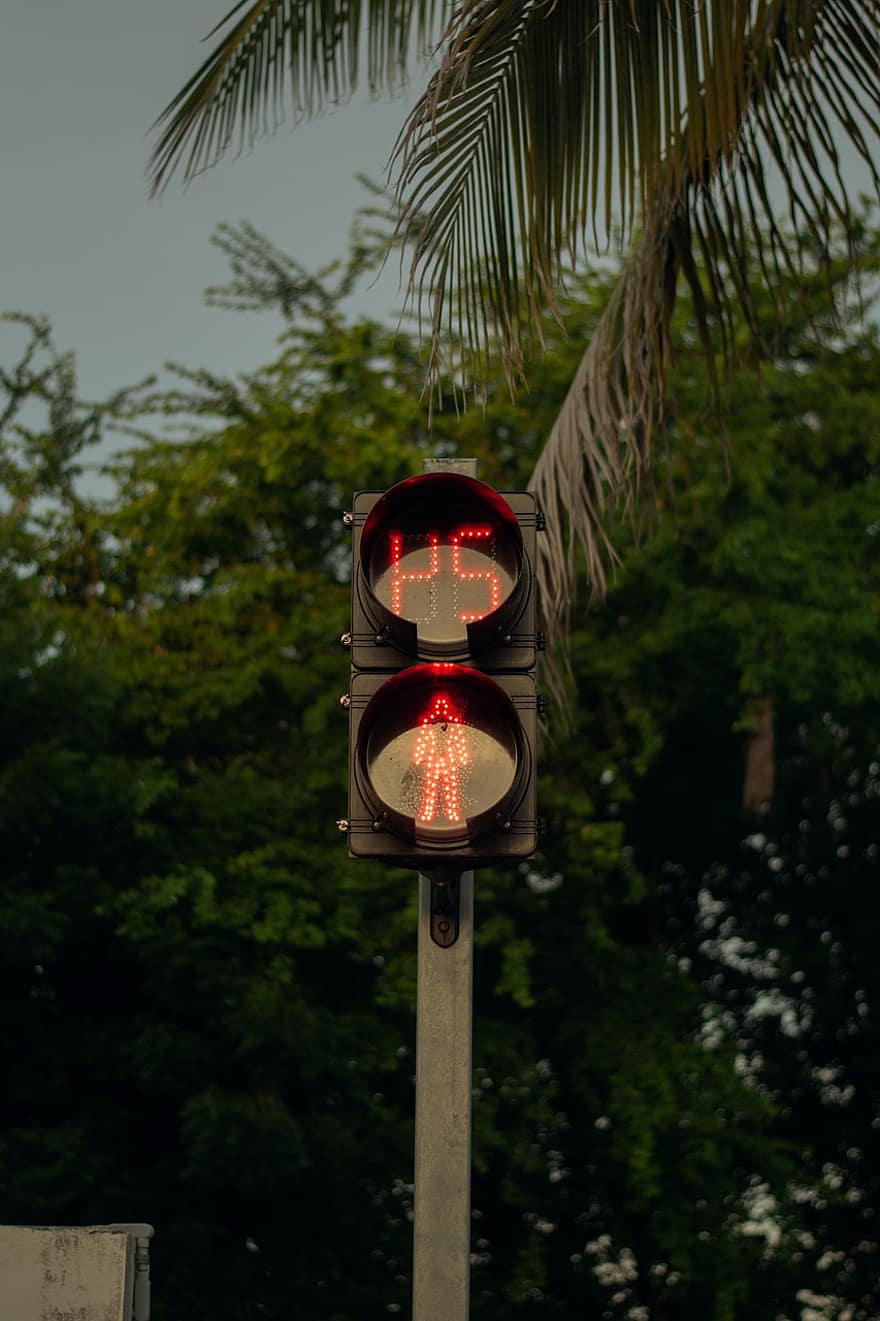 Traffic Light, Urban, City, Pause, traffic, stoplight, green color, lighting equipment, yellow, transportation, sign