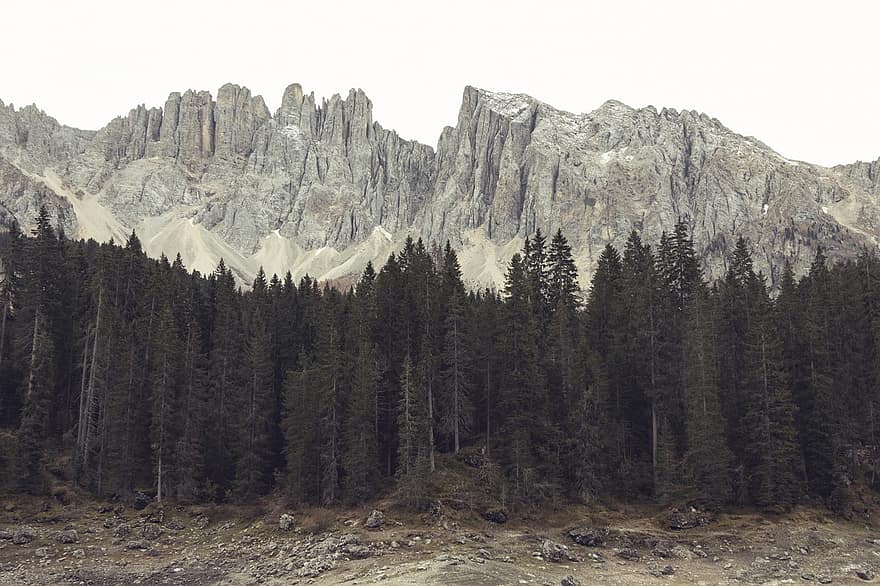 доломиты, горы, деревья, лес, Альпы, юго-Tirol