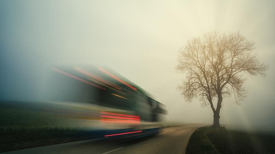 Straße, Baum, Bus, Fahren, Herbst, Transport, Nebel, Sonnenstrahlen, kalt, Langzeitbelichtung, ländlich