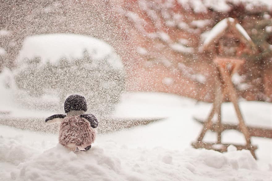 pobūdį, pingvinas, žiemą, sniegas, Kalėdos