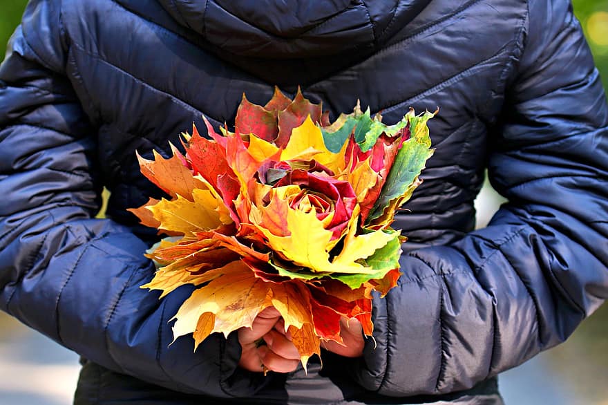 букет, осень, кленовые листья, Флора, высушенные листья, природа