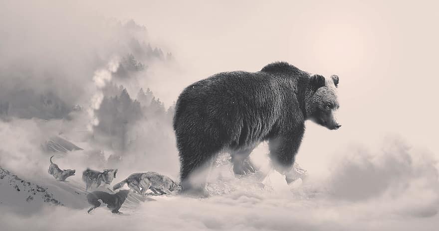 Björn, dimma, djur, natur, snö, djur i det vilda, vinter-, berg, svartvitt, päls, illustration