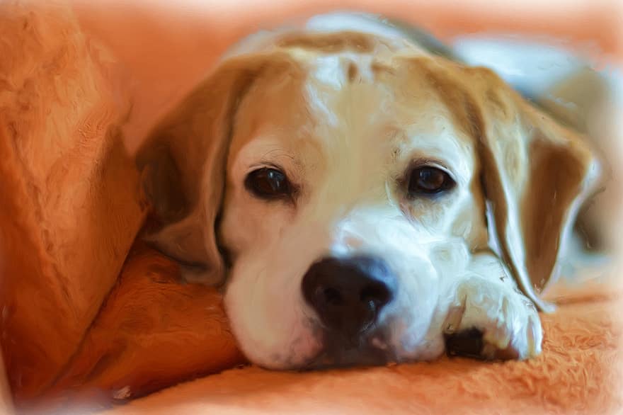 Painting, Oil Painting, Photo Painting, Dog, Beagle, Art, Artwork, Creative, Animal Portrait, Digital Art