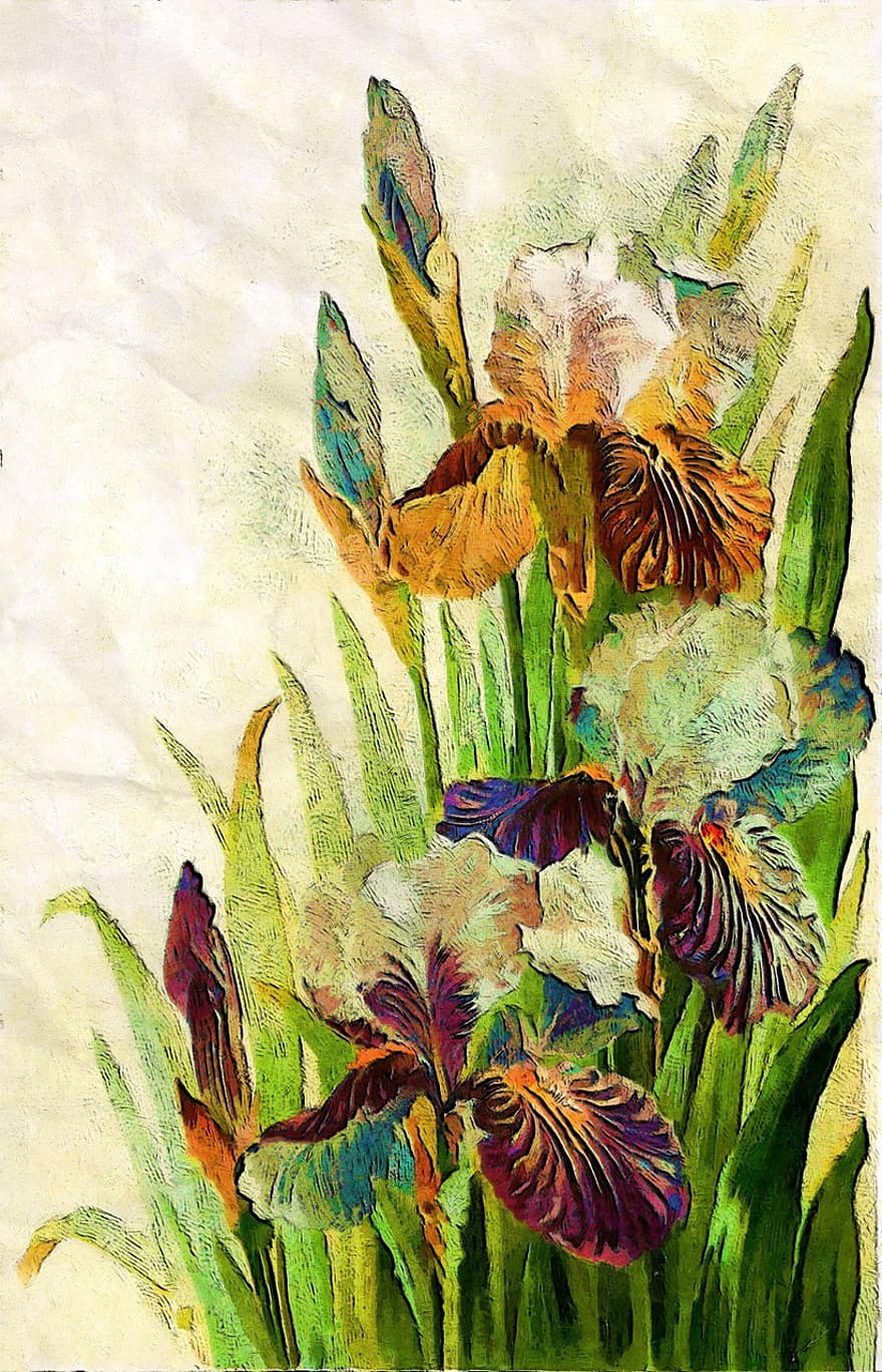 kwiaty ogrodowe, na wolnym powietrzu, sezonowy, kwiat, roślina, kolor, kwitnąć, ogród, około, 1907, do