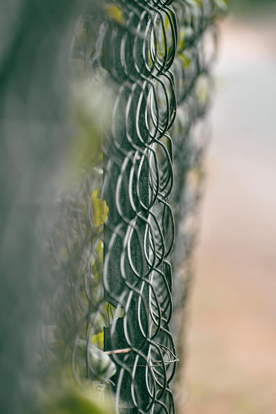 recinzione a catena, recinto di rete metallica, natura, avvicinamento, sfondi, colore verde, foglia, modello, metallo, pianta, estate