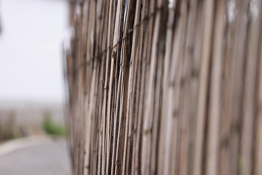 gard, bambus coș, model, fundaluri, lemn, a închide, nici o persoana, abstract, vară, vechi, plantă