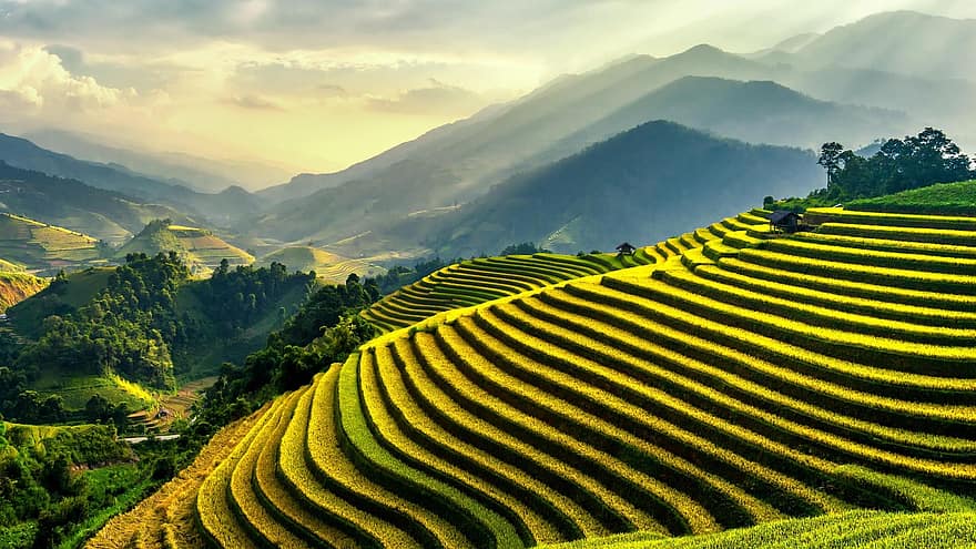tájkép, mezőgazdaság, rizs teraszok, mező, nyári, rizsföld, rizs gazdálkodás, hegy, ég, felhők