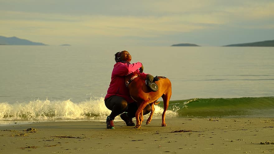 draudzība, suns, pludmale, īpašnieks, sieviete, mīlestība, aprūpi, jūras ainava