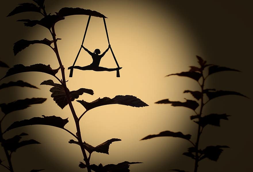 Shadow, Figure, Shadow Play, Silhouettes, Plant, Artist, Tightrope, High Ropes, Contrast, Hispanic