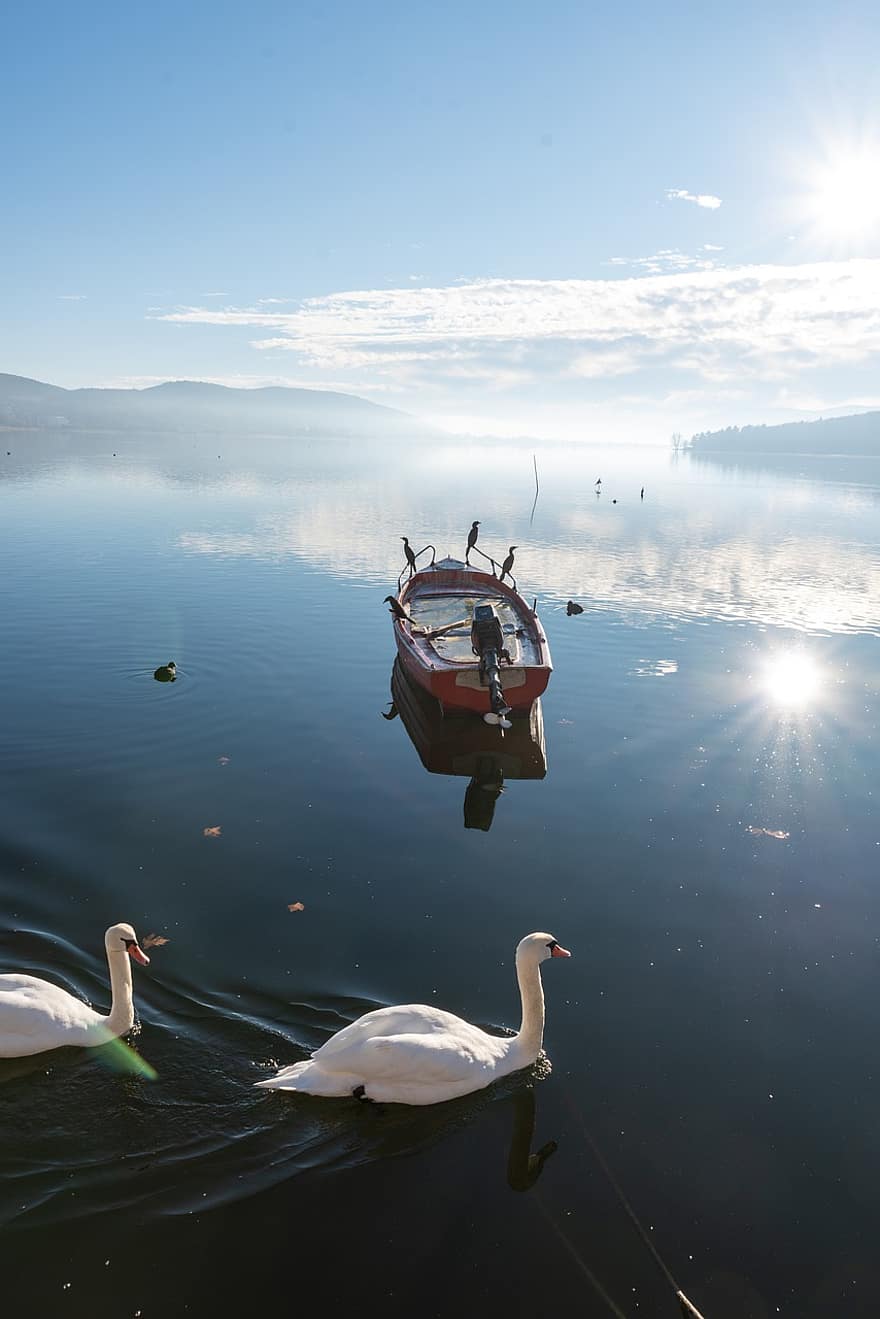 båd, sø, svaner, fugle, bjerg, vand, natur, vinter, kold, Kastoria