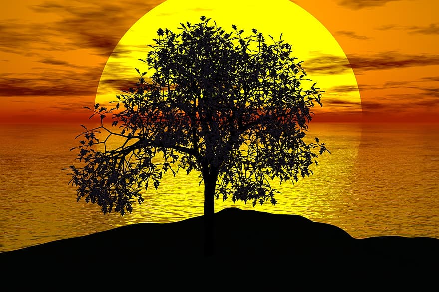 δέντρο, η δυση του ηλιου, ήλιος, τοπίο, φύση, ουρανός, φόντο ηλιοβασίλεμα, ηλιακό φως, απόγευμα