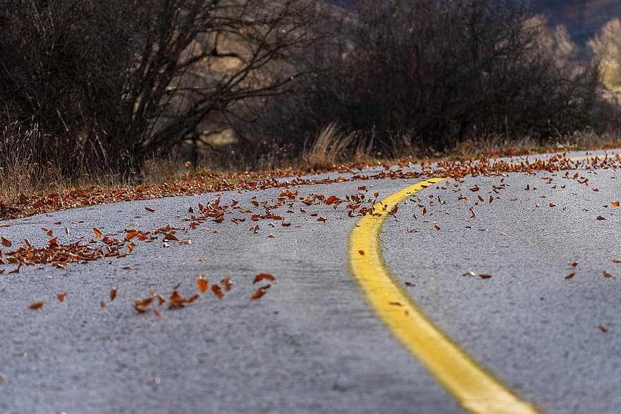 kelias, ruduo, sezoną, asfalto