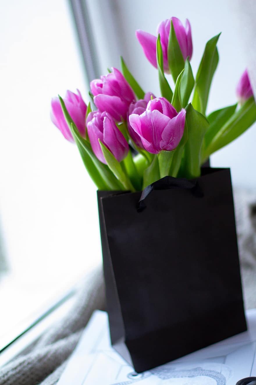 тюльпани, букет квітів, подарунковий пакет, гламур, стиль, светр, квіти, Рослина, рожеві квіти, пелюстки, цвітіння