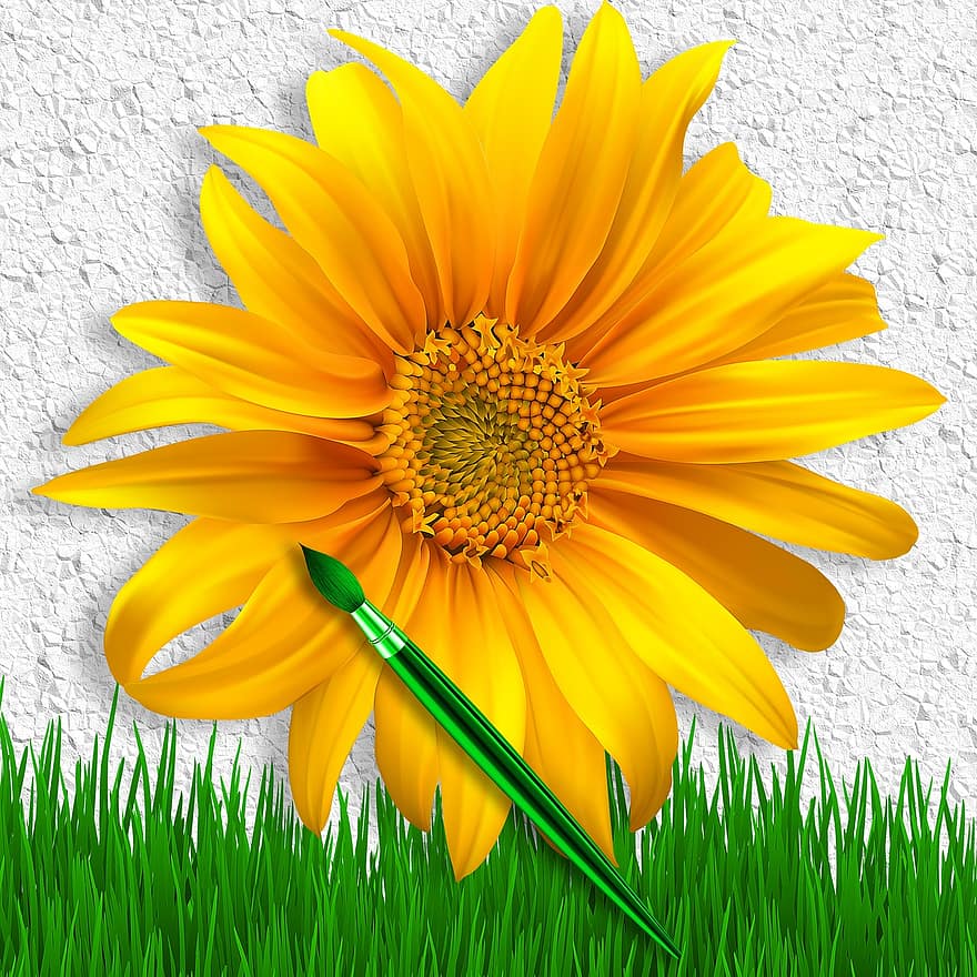 テクスチャ、バックグラウンド、花、黄色い花、みがきます、芝生、設計、花びら