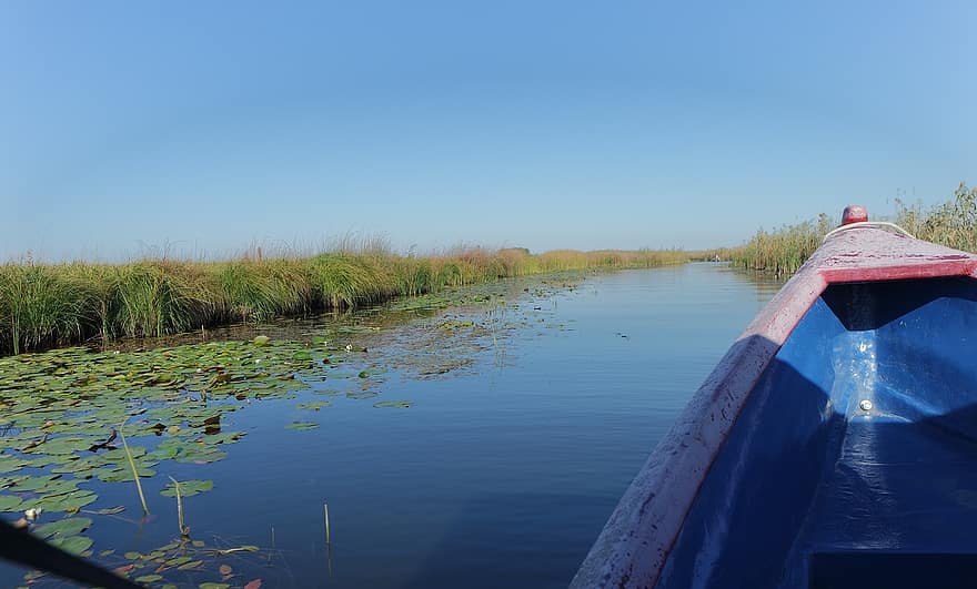 łódź, delta Dunaju, lilie wodne, delta dunarii, Natura