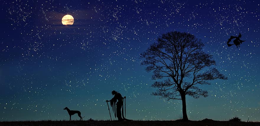 відьма, пес, місяць, дерево, краєвид, казки, зірка