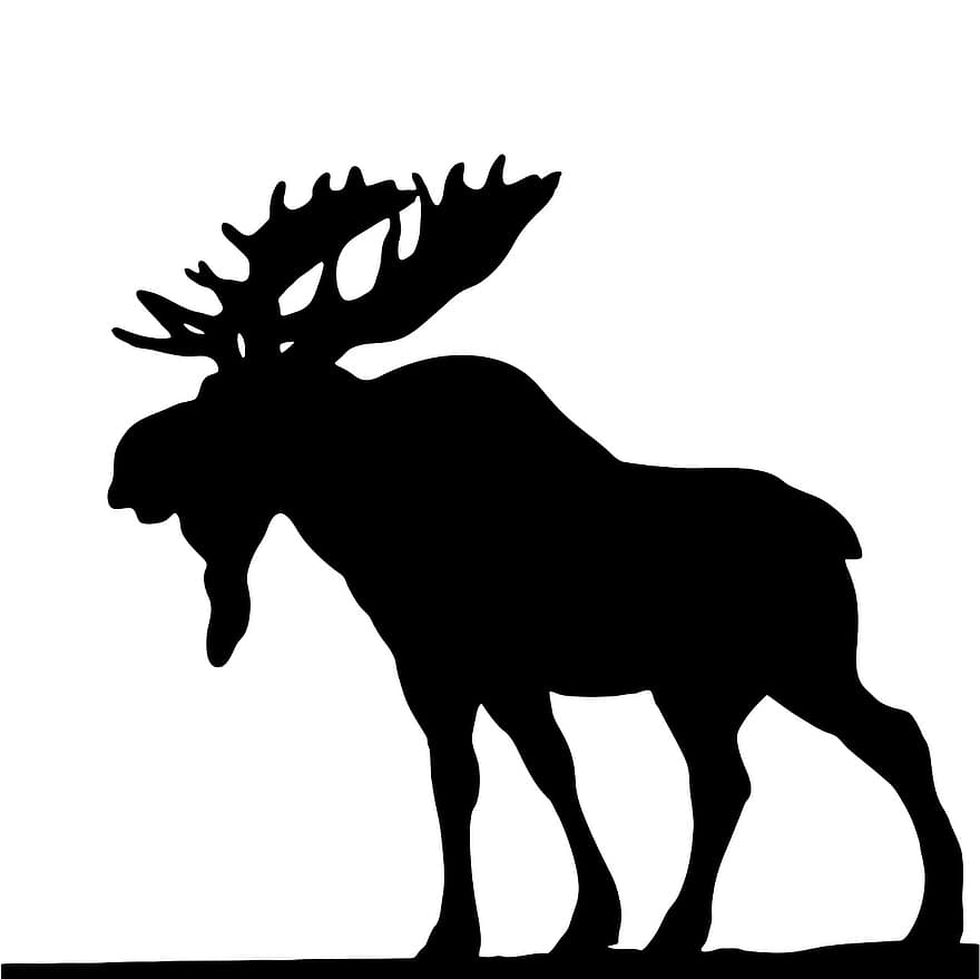 Moose, Black, Silhouette, Wild, Animal, Deer, Nature, Antler, Wildlife, White, Symbol