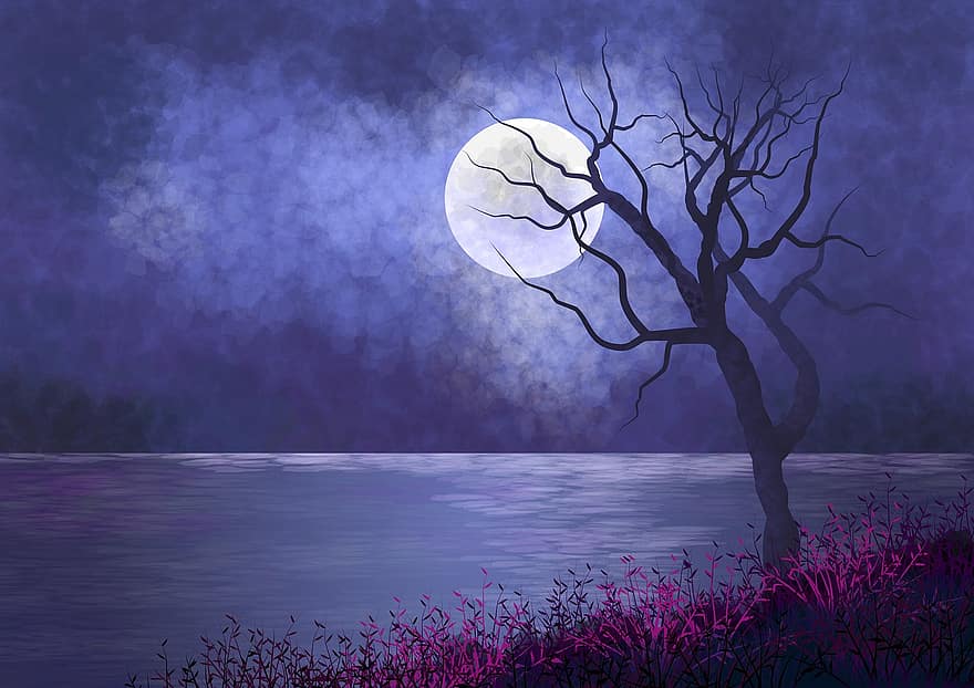 пейзаж, ночь, свет луны, иллюстрация, природа, дерево, хобот, зима, холодно, пурпурный, свет