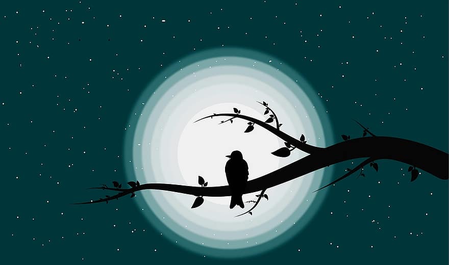 木の上の鳥、鳥、青、月