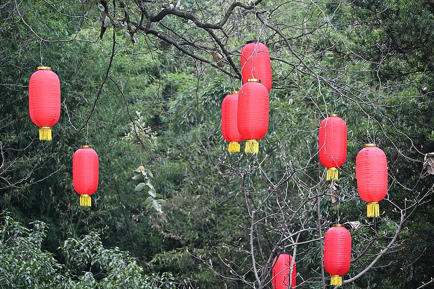 Festival, lanterne, décoration, art, des cultures, fête, culture chinoise, lanterne chinoise, fête traditionnelle, pendaison, religion