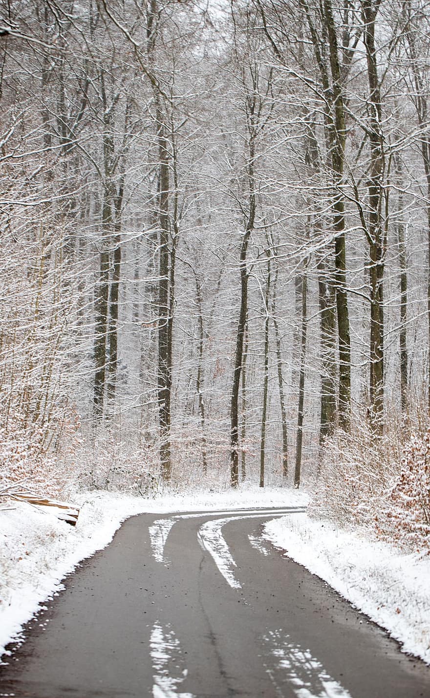 estrada, arvores, floresta, neve, invernal, flocos de neve, gelo, congeladas, geada, frio, inverno