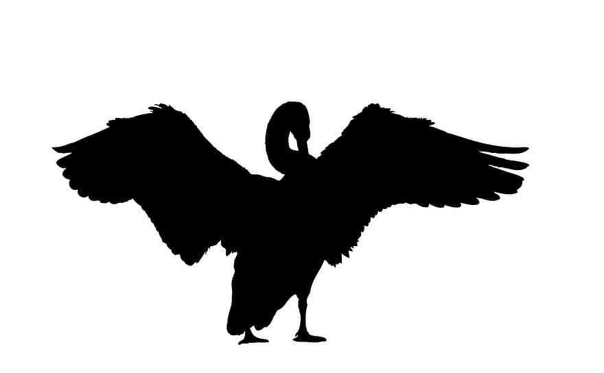 Swan, Silhouette, Black, White, Background, Art, Bird, Animal, Scrapbooking, Isolated, Nature