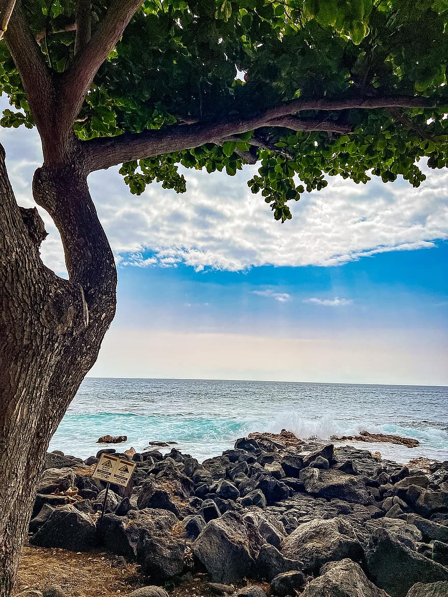 platja, Costa, oceà, arbre, llum solar, Hawaii, illa, estiu, línia de costa, blau, aigua