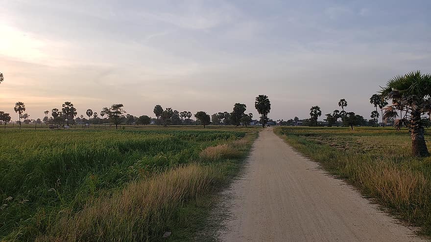 raksturs, ceļot, izpēte, lauku, jomā, ārā, ceļš, Umtona, Tonaum, Khmeru Tona, lauku ainas