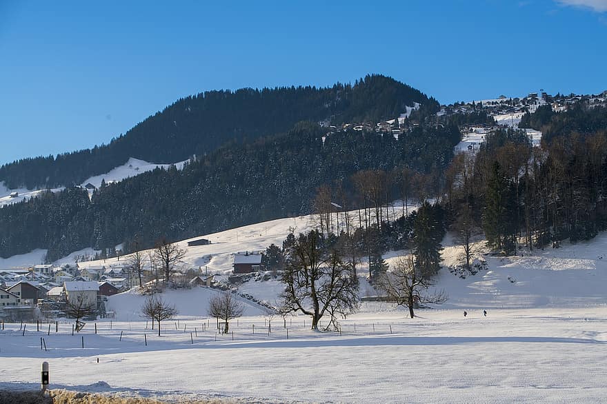 Šveicarija, žiemą, pobūdį, sezoną, sniegas, kalnas, kraštovaizdį, miškas, medis, mėlyna, Sportas