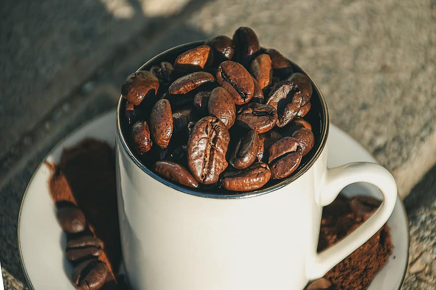 kopi, kacang polong, benih, cangkir, kafein, kafe, aroma, panggang, makanan, minuman, coklat