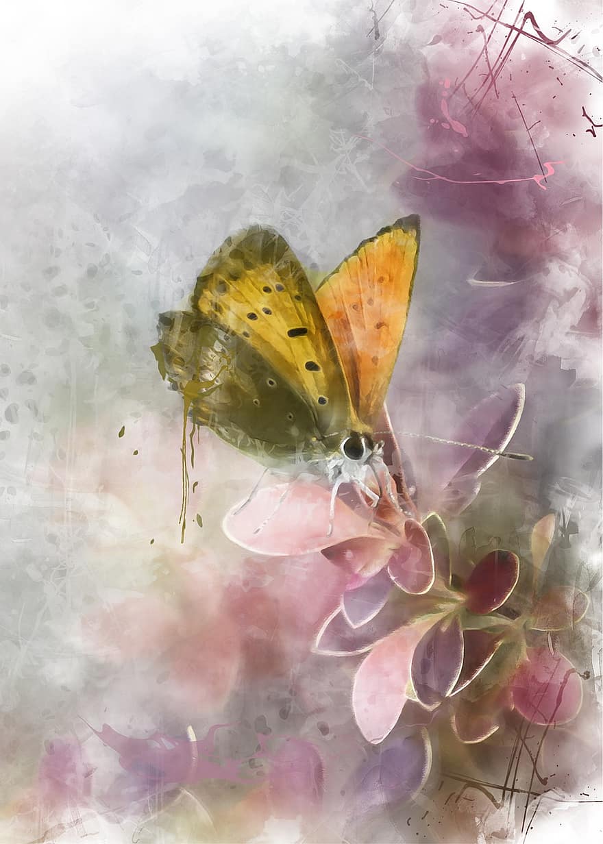 Butterfly, Czerwończyk, Insect, Nature, Summer, Plant, Animals, Garden, Color, Closeup, Beautiful