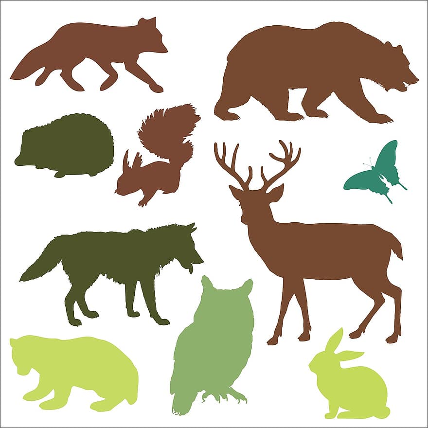 जंगल के जानवर, जानवरों, भालू, भालू शावक, लोमड़ी, गिलहरी, कांटेदार जंगली चूहा, तितली, हिरन, बारहसिंगा, भेड़िया