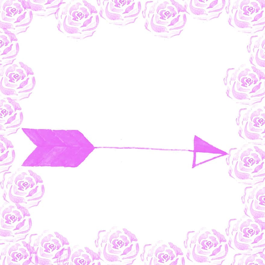flecha, rosado, té, los pétalos, pétalos de rosa, flor, planta, flor rosa, rosa, colores, floreciente