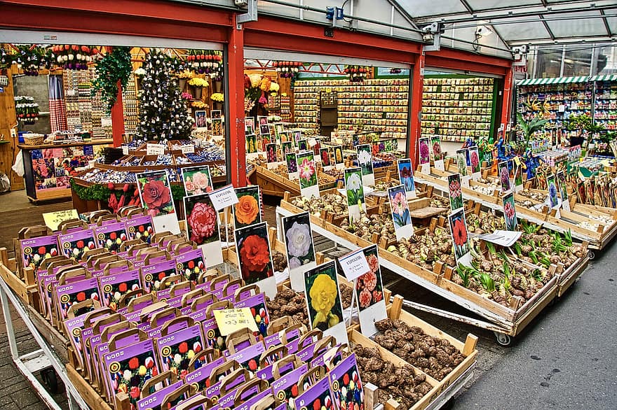 Blumen, Markt, Pflanzen, Vielfalt, Auswahl, Verkauf