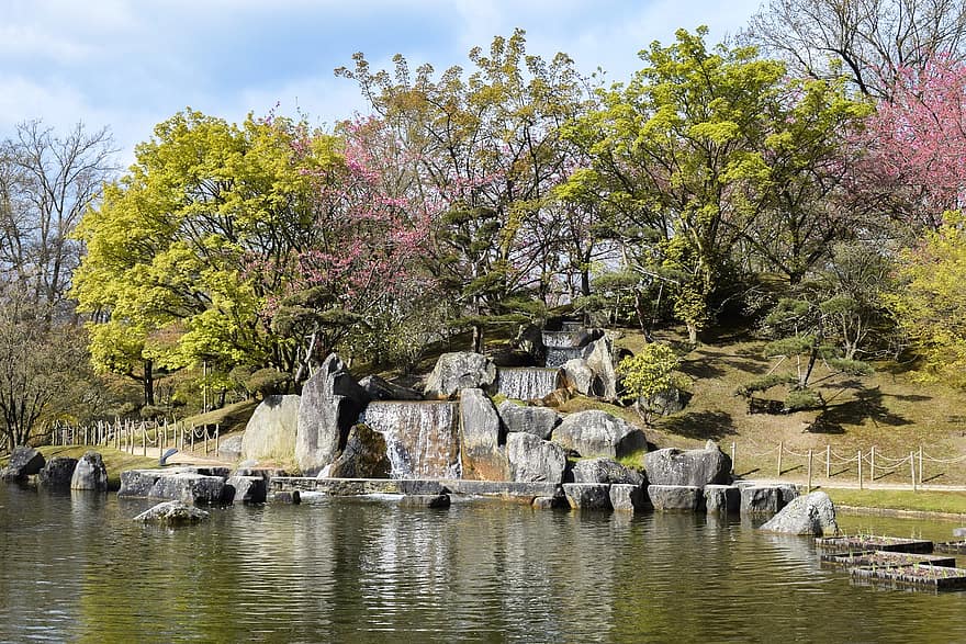 jardí japonès, Jardí d'estil japonès, estany, naturalesa, jardí, hasselt, arbre, aigua, flor, paisatge, full