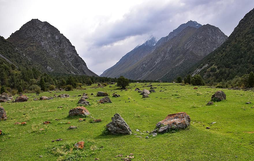 山岳、谷、山脈、森林、森の中、牧草地、畑、川、キルギスタン、緑、自然