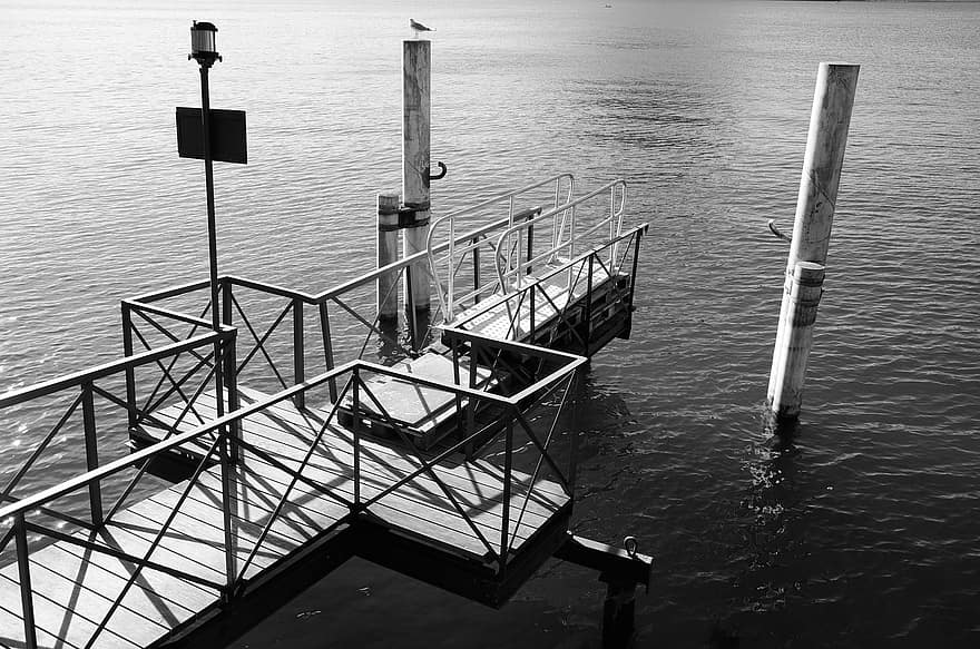 Dock, Lake, Monochrome, Switzerland, Jetty, Pier, Water, Gull, shipping, steel, metal