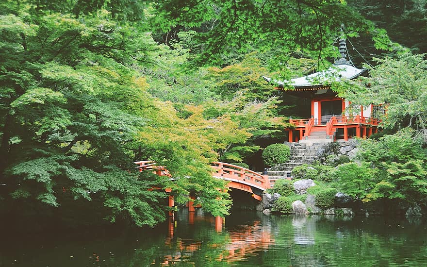 アジア、日本、寺院、ブリッジ、庭園、緑