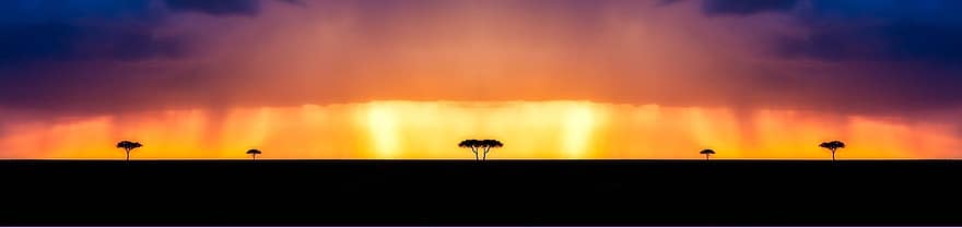 panorama, Natura, niebo, zachód słońca, chmury, drzewa, równiny, Afryka, Kenia, pustynia, sylwetka