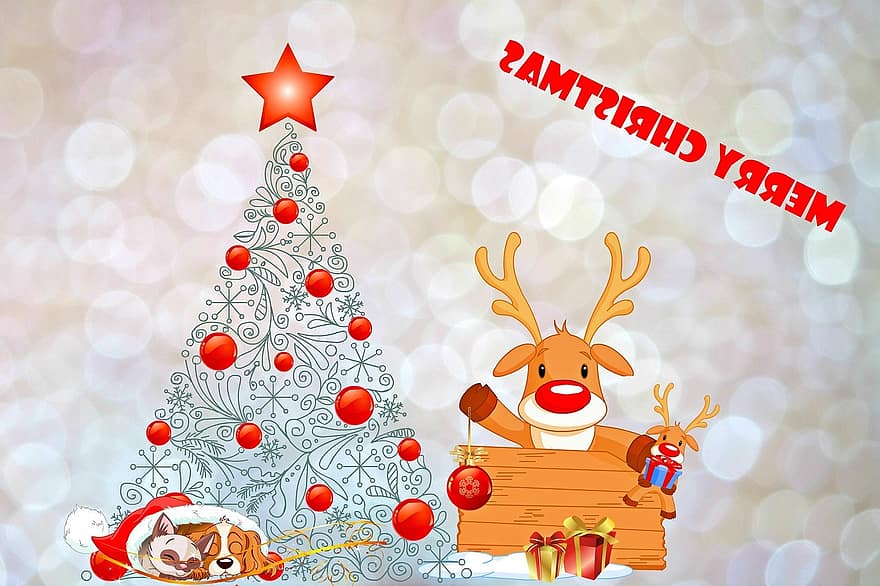 Christmas, Christmas Card, Christmas Greeting, Christmas Motif, Christmas Tree, Greeting Card, Map, Star, Christ Balls, Decoration, Moose