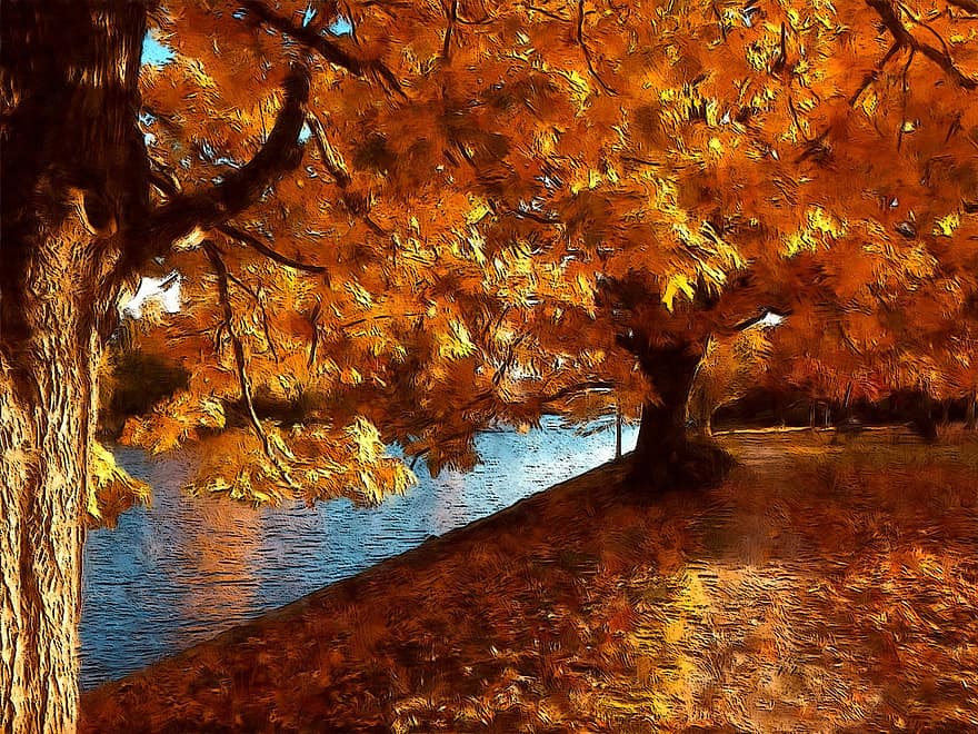 caminhada de outono, agua, parque, temporada, sai, plantar, árvore, espalhar, outono, exterior, natureza