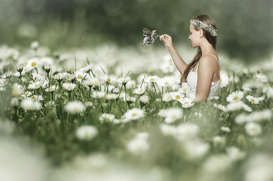 đồng cỏ, hoa cúc, đàn bà, mùa hè, mơ mộng, phong cảnh, bông hoa, mỉm cười, mùa xuân, cỏ, hạnh phúc