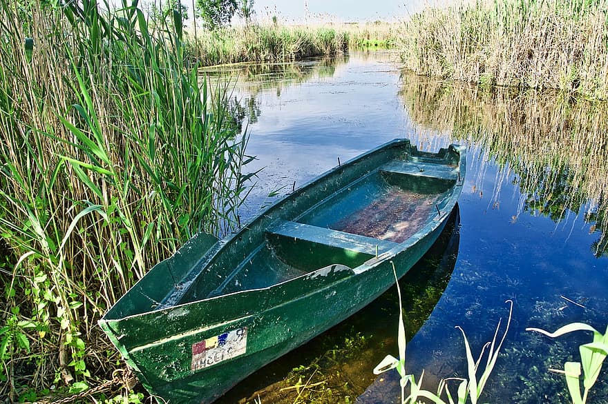 Boot, Sumpf, Feuchtgebiet, Fluss