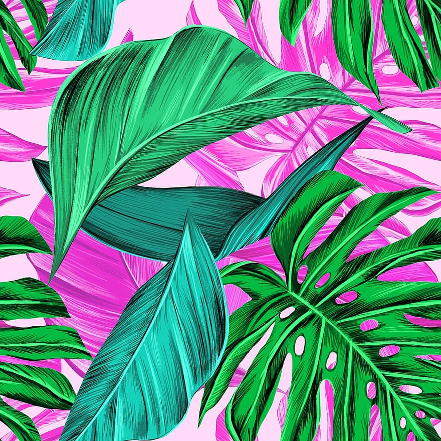 Tropická zeleň, monstera, letní, tropický, zelená, Příroda, rostlina, ilustrace, dlaň, textura, vzor