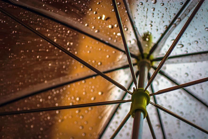 regen, paraplu, nat, buitenshuis, accessoires, vallen, koude, macro