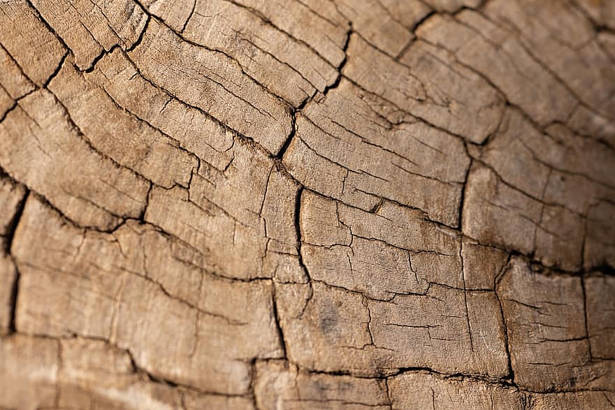 дърво, дървен материал, дървен, палка, тъкан, модел, абстрактен, стар, заден план