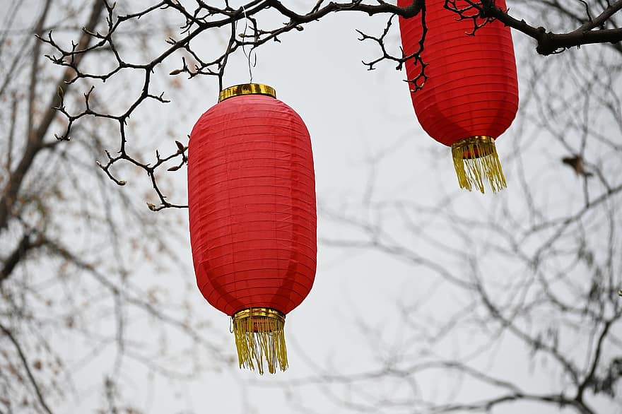 festival, lanterne, traditionel, dekoration, kulturer, fest, traditionel festival, kinesisk lanterne, kinesisk kultur, hængende, belysningsudstyr