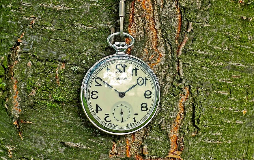 đồng hồ bỏ túi, đồng hồ đeo tay, cổ điển, đồng hồ, thời gian, Hoài cổ, cũ