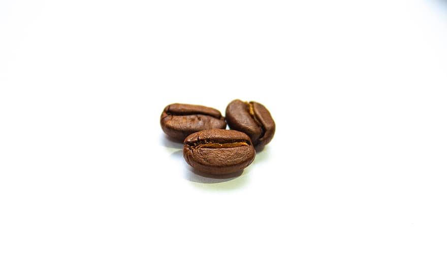 café, grãos de café, cafeína, sementes de café, grãos de café torrados